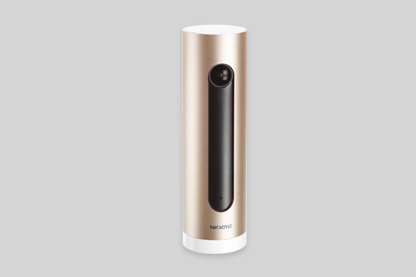 Smart Indoor Camera