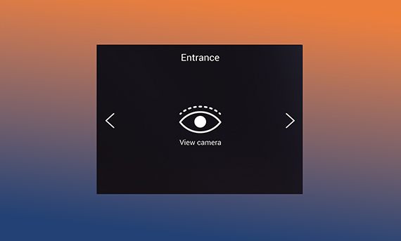 3. DoorEntry_Camera