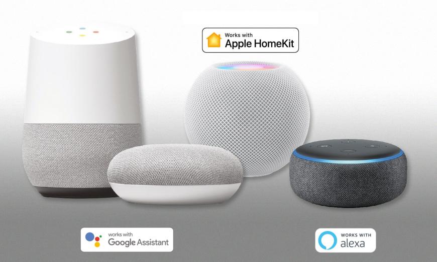Voice controls